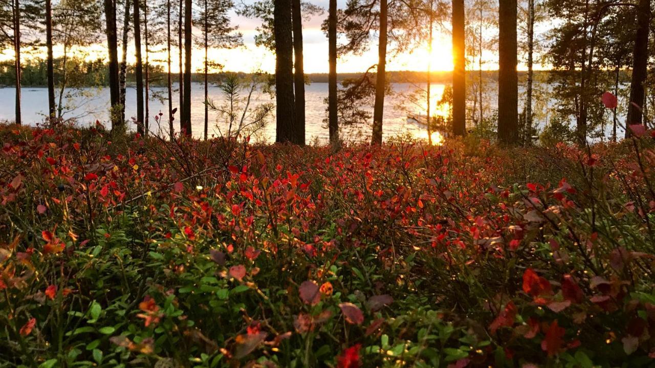 Koskenselaen Lomakylae Villa Puumala Exteriör bild